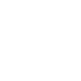 icon-pro4