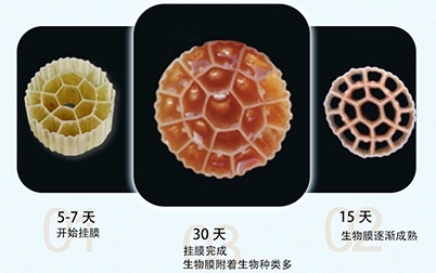 1741768506655742 利用宽泛