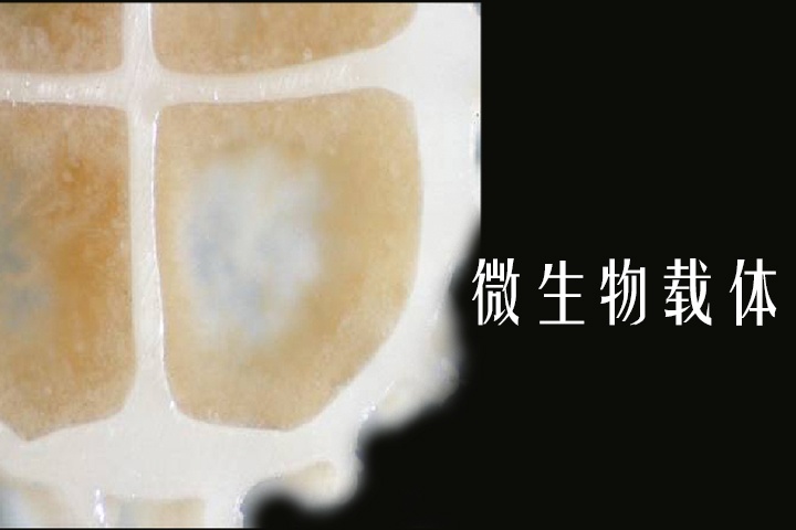 1742970818870989 MBBR填料-4