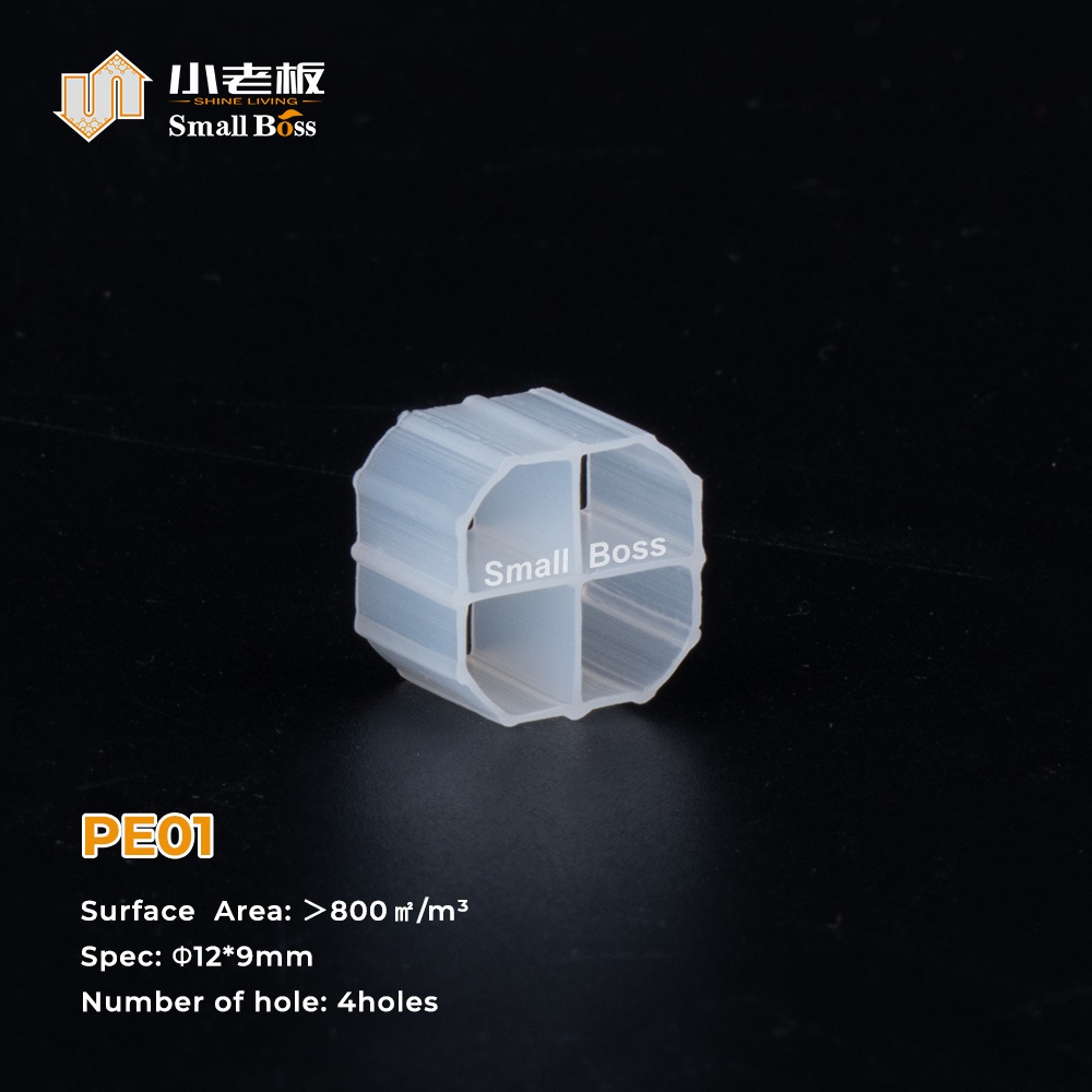 PE01