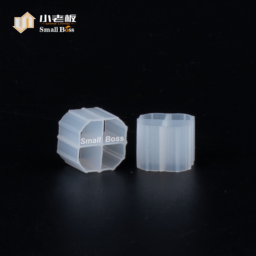 PE01