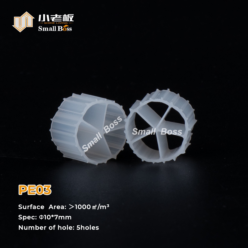 PE03