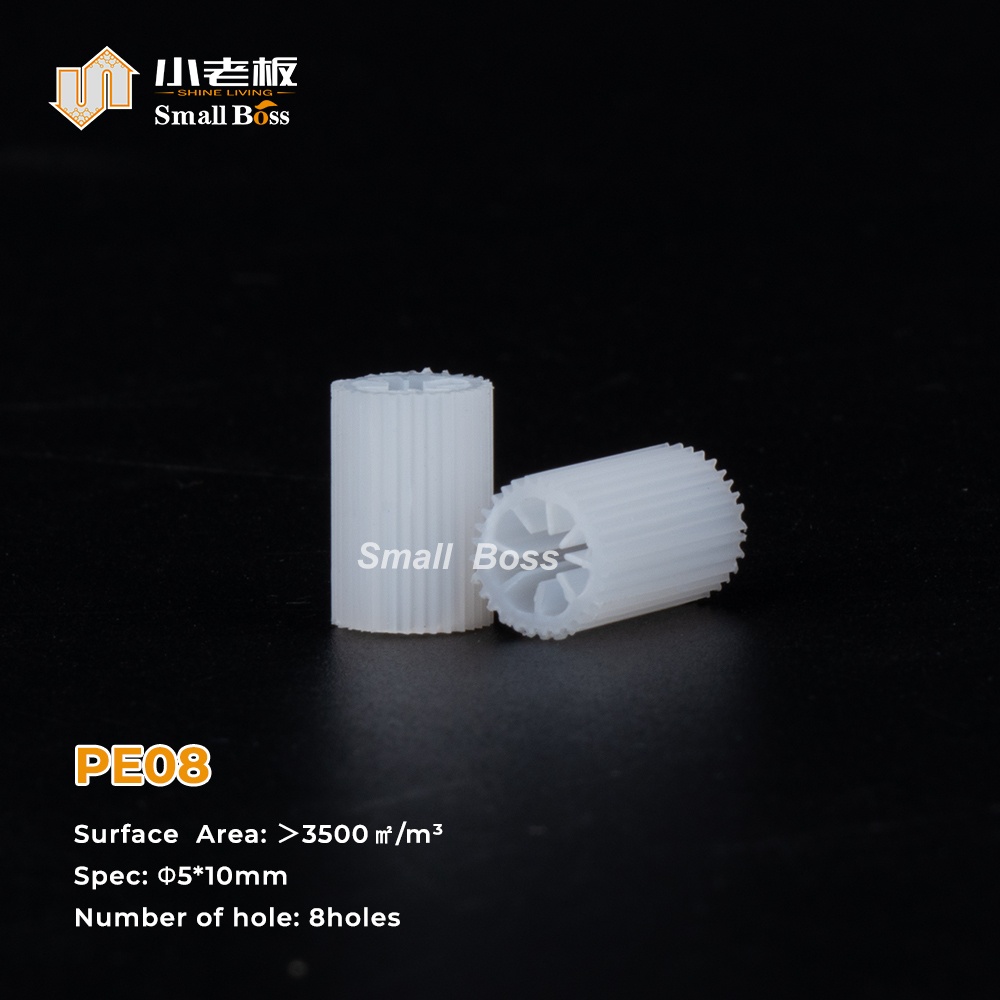 PE08