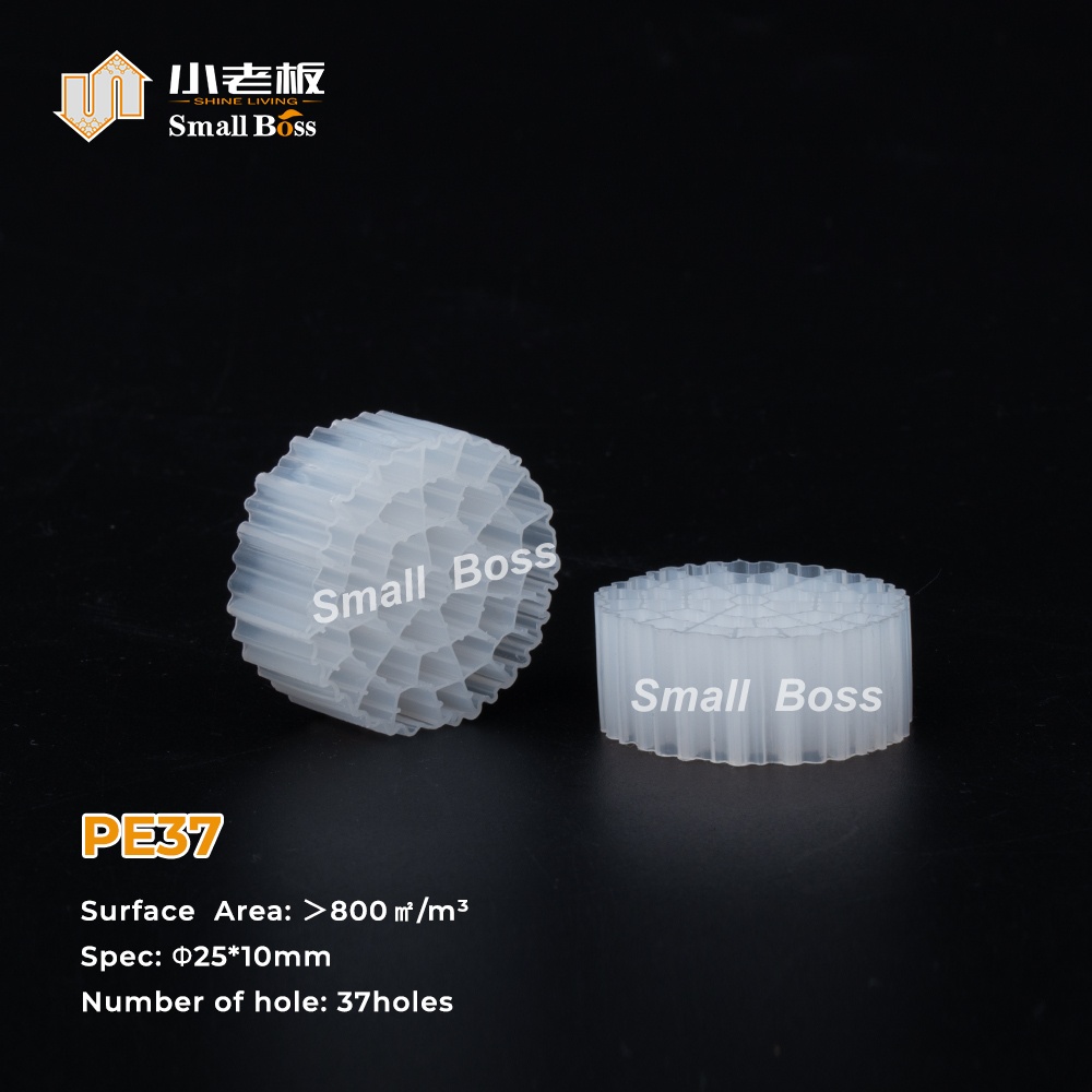 PE37