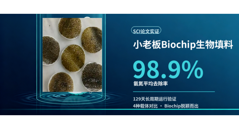 1790142112608753 11517bb巴黎人贵宾会 Biochip 生物填料