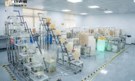 SCI-Backed SmallBoss Biochip Biofiller Achieves 98.9% Ammonia Nitrogen Removal in Rural Wastewater
