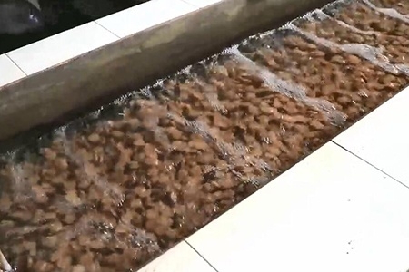 江苏某养殖企业废水处置项目