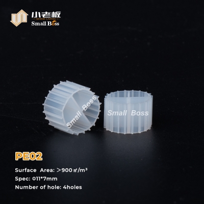 PE02