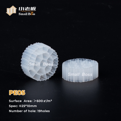 PE05
