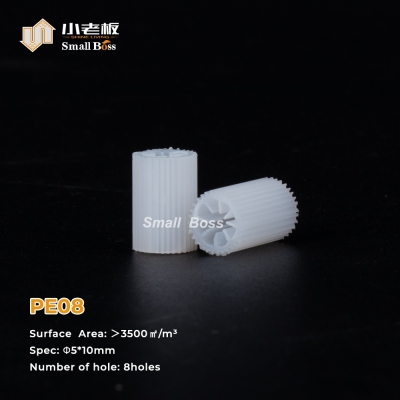 PE08